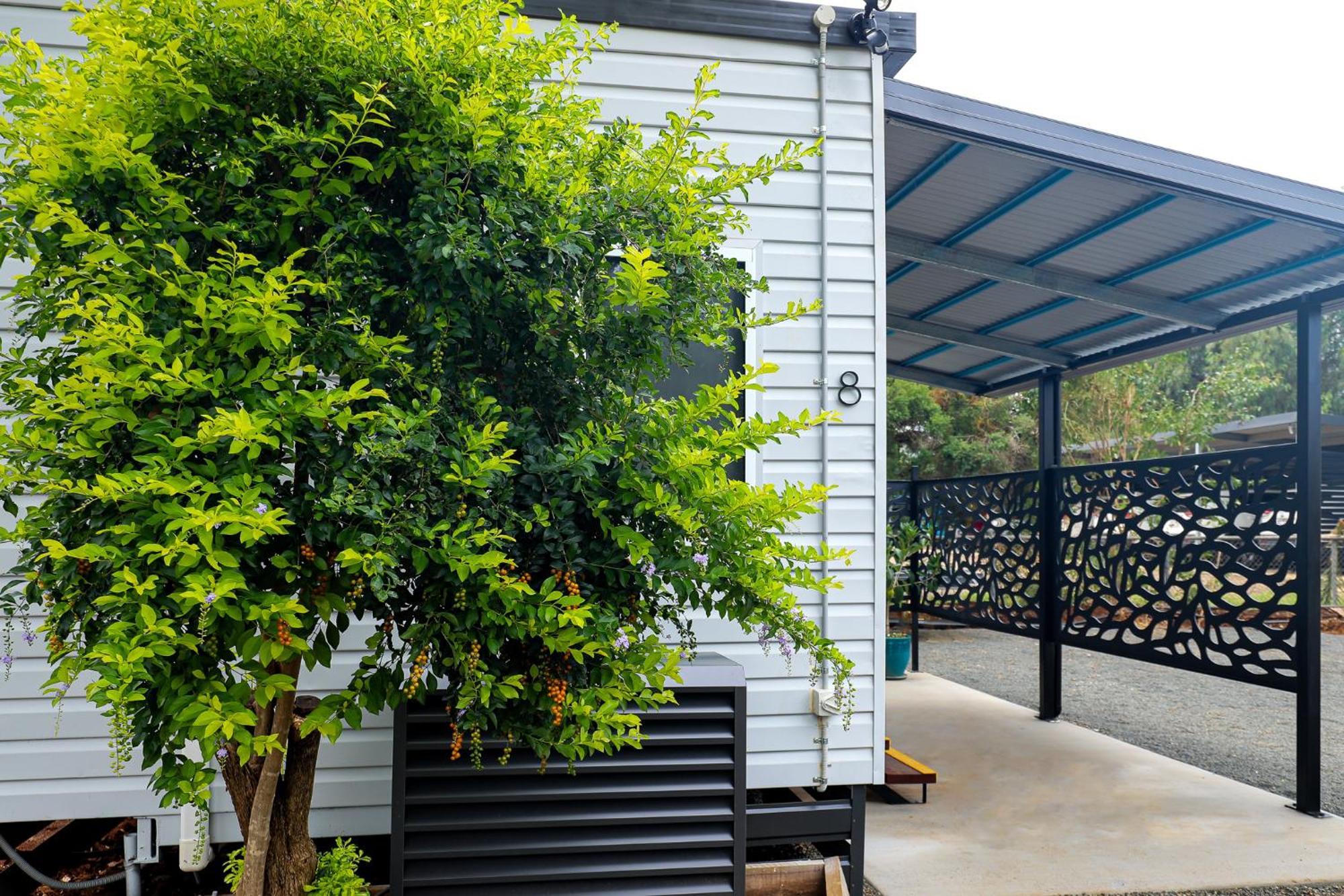 Kingaroy Holiday Park Экстерьер фото
